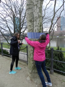 Manche Bäume waren schon sehr dick! Foto: Lucien Kirchner